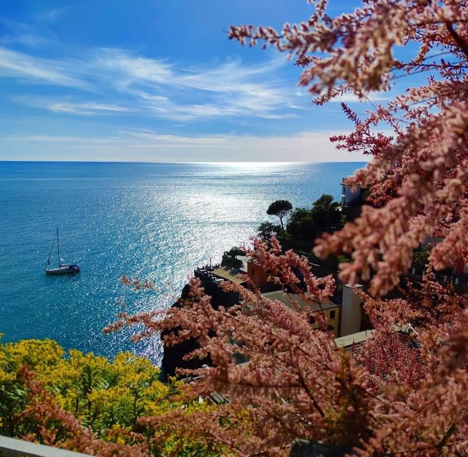 Maison Exotique - Riomaggiore / Cinque Terre / Beach Travel Kültér fotó